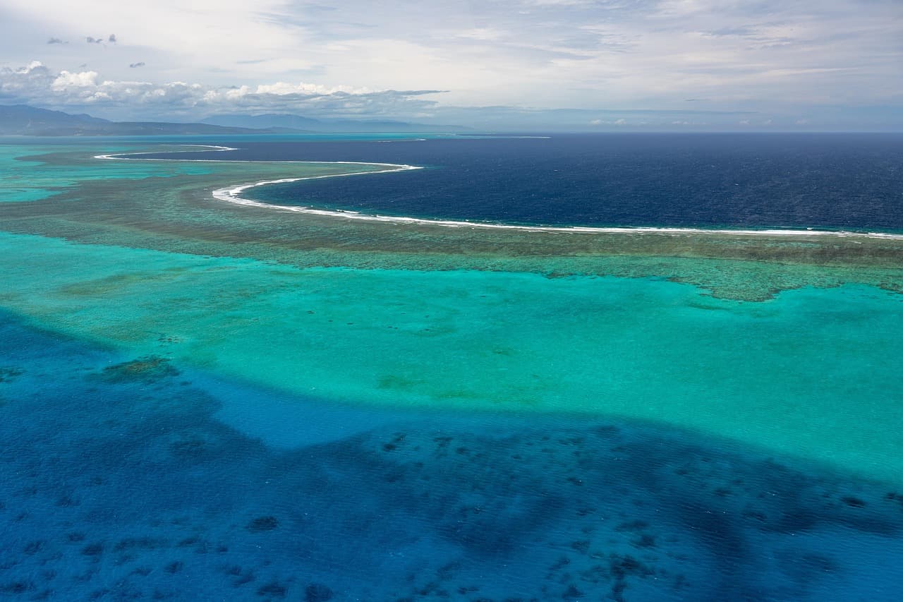 Amelia Earhart expedition at Nikumaroro ends without evidence as 'plane debris' turns out to be trees