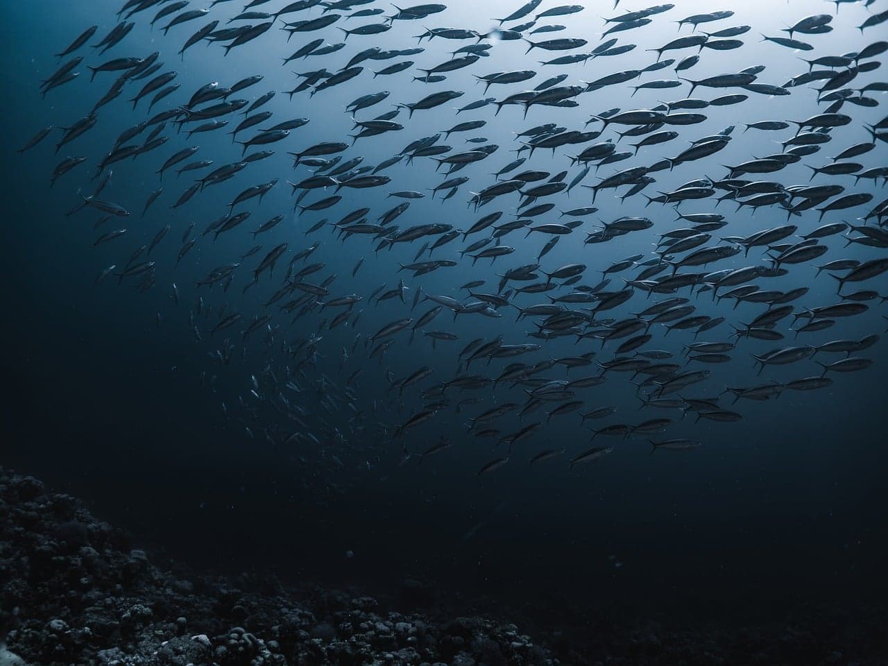Blue Planet III keeps cloudier footage to show it is not AI