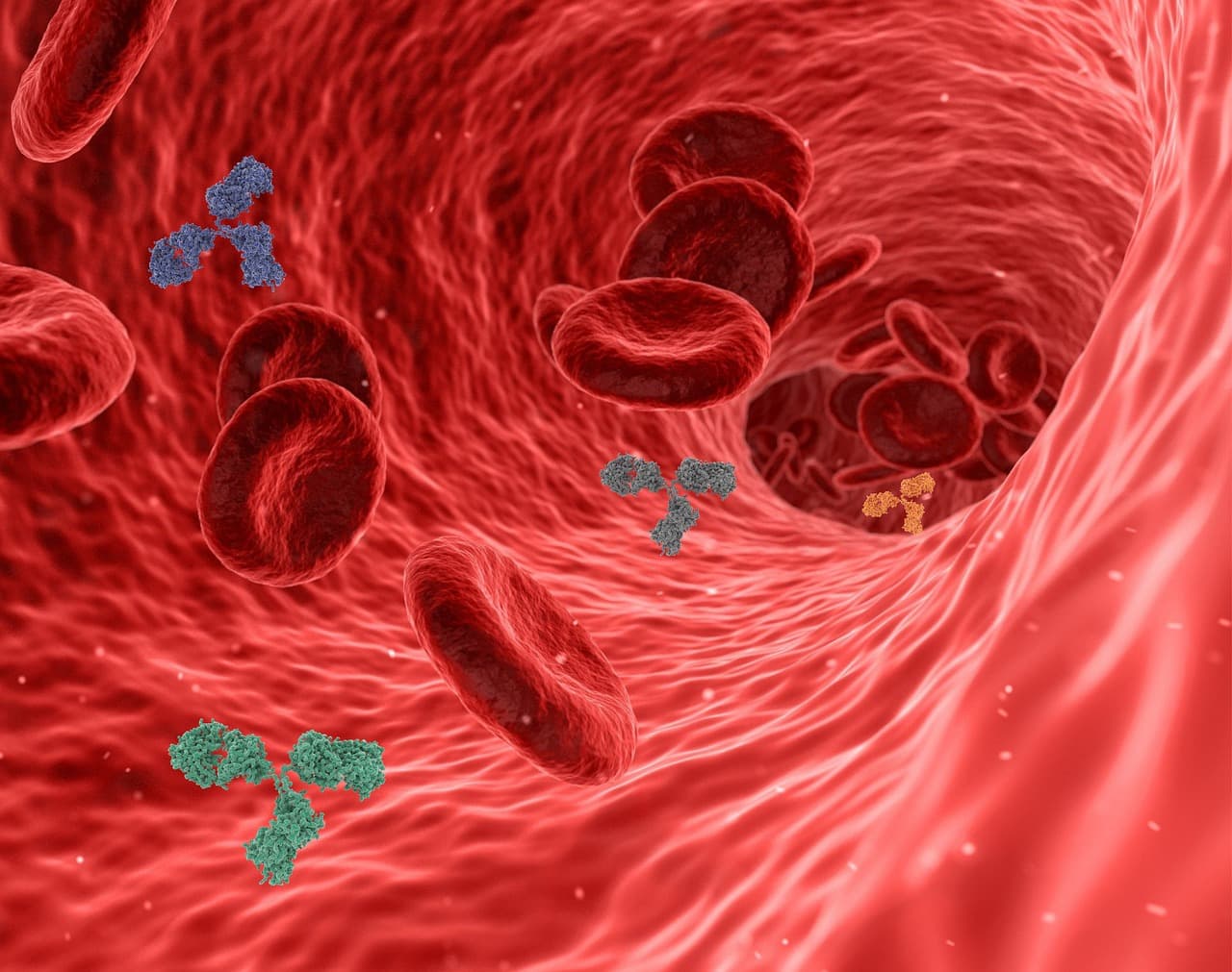 Inflammatory bowel disease warning signs: blood antibodies may flag IBD a decade early