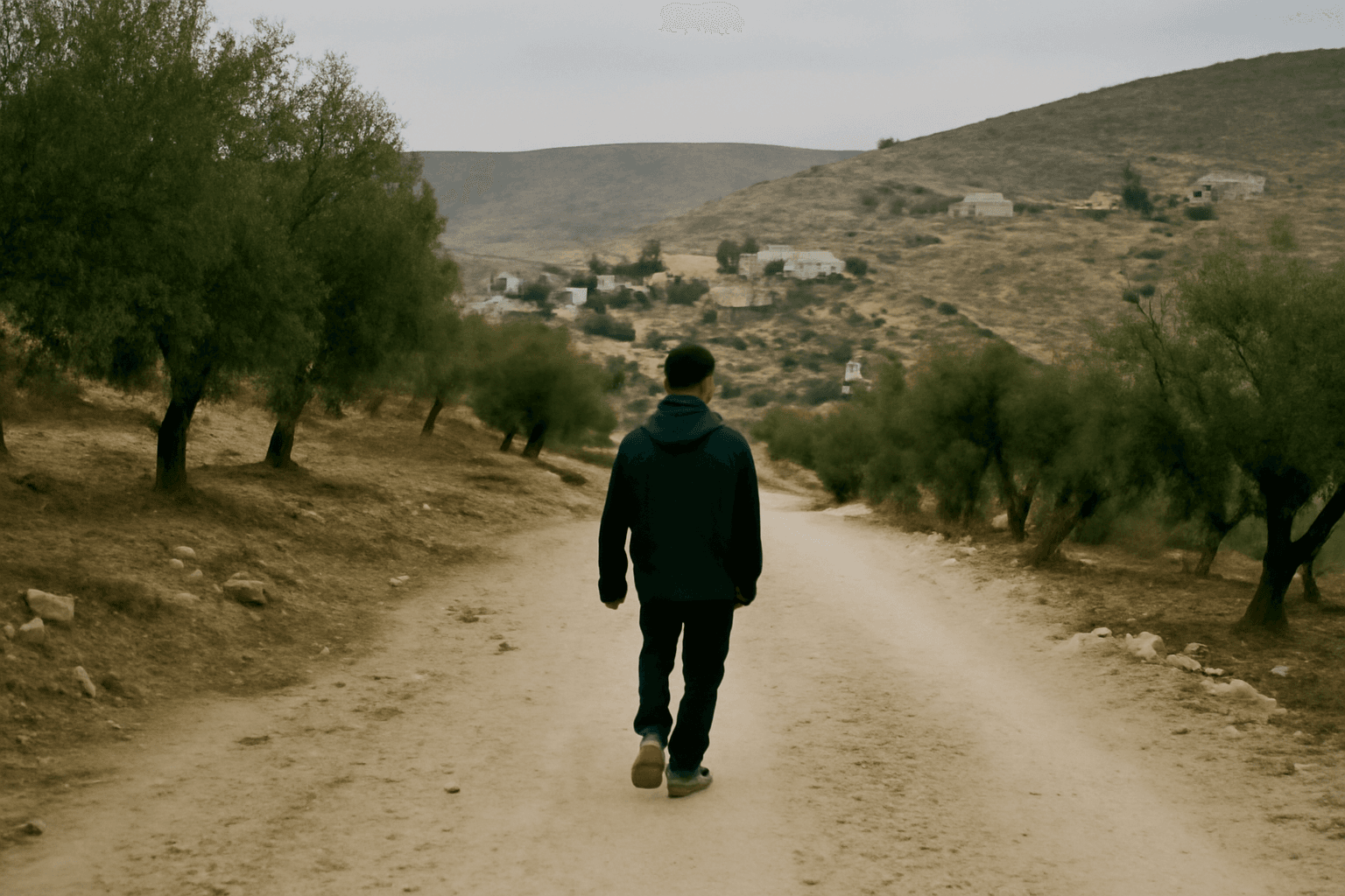 An unpaved village road lined with olive trees in the West Bank hills, seen from behind a lone figure walking away down the slope.