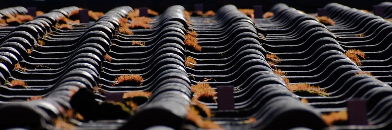 China's young adults turn to raising bricks for 'zero-energy companionship'